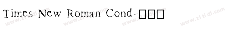 Times New Roman Cond字体转换